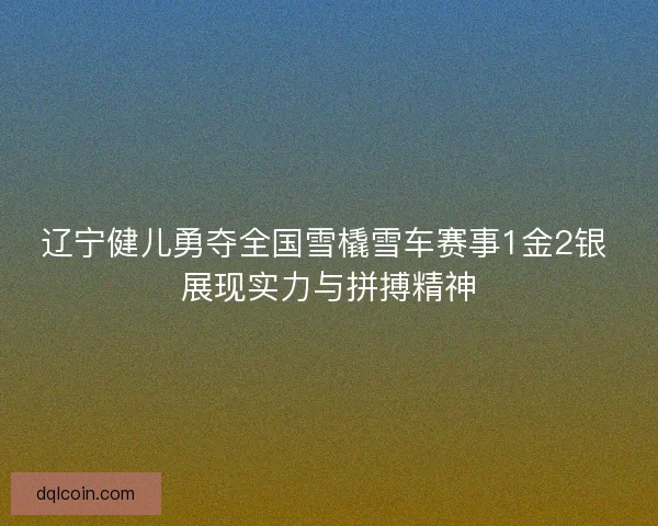 辽宁健儿勇夺全国雪橇雪车赛事1金2银 展现实力与拼搏精神